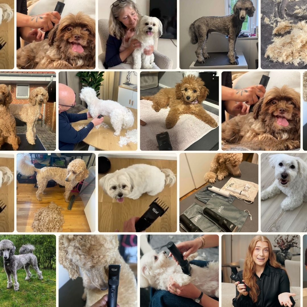 Bjaf Hundeschermaschine Pro™