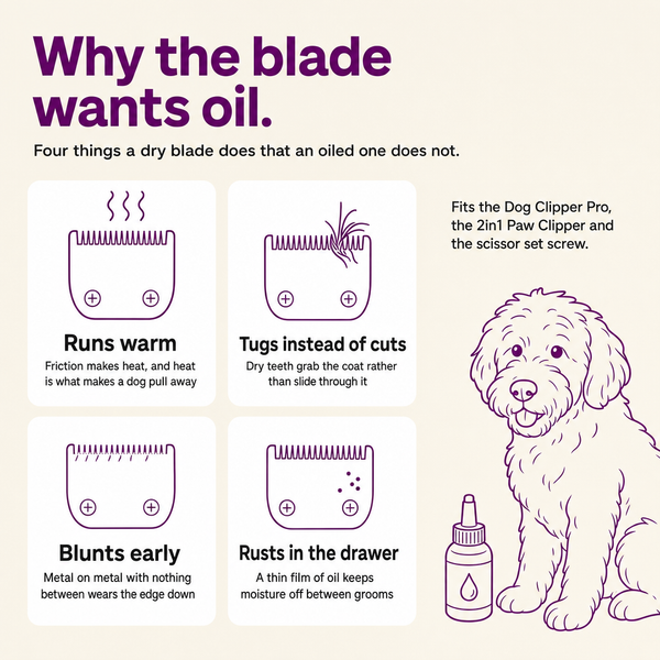 Clipper Oil