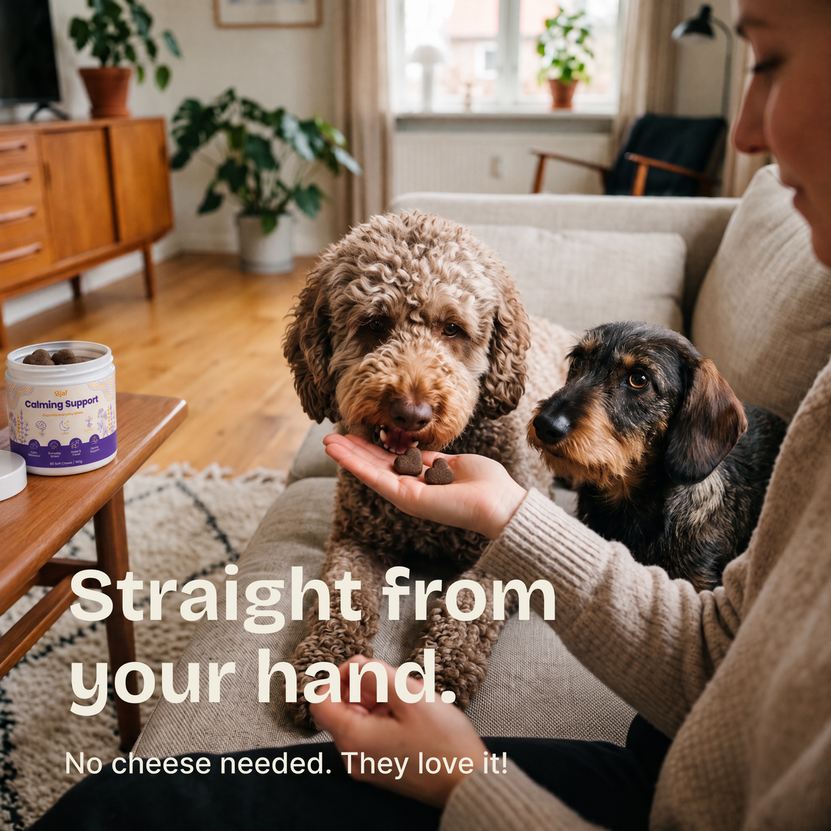 Calming Support Chews