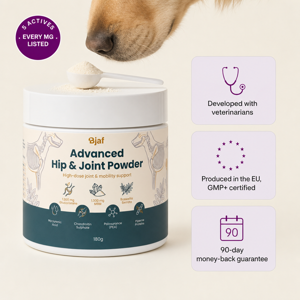 Advanced Hip & Joint Powder