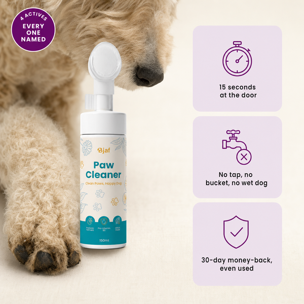 Paw Cleaner