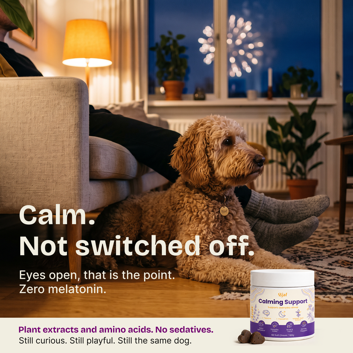 Calming Support Chews