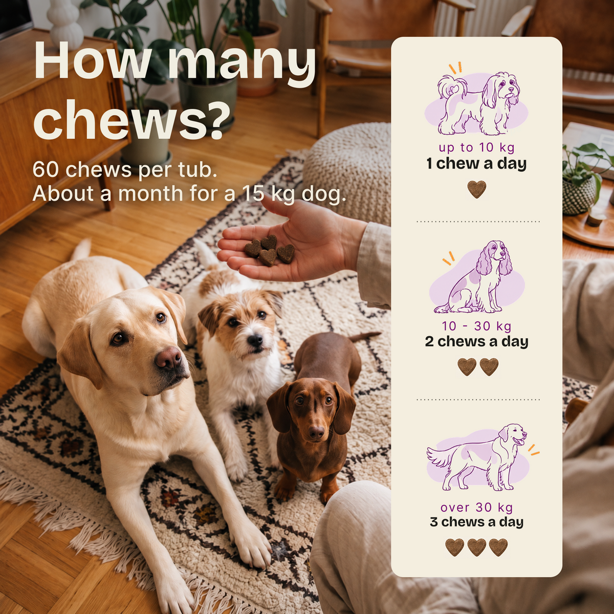 Calming Support Chews