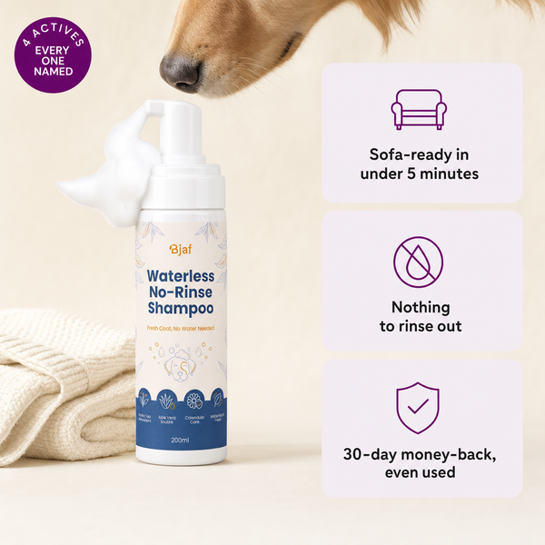 Waterless No-Rinse Shampoo