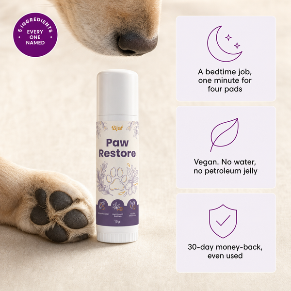 Paw Restore Balm 15g